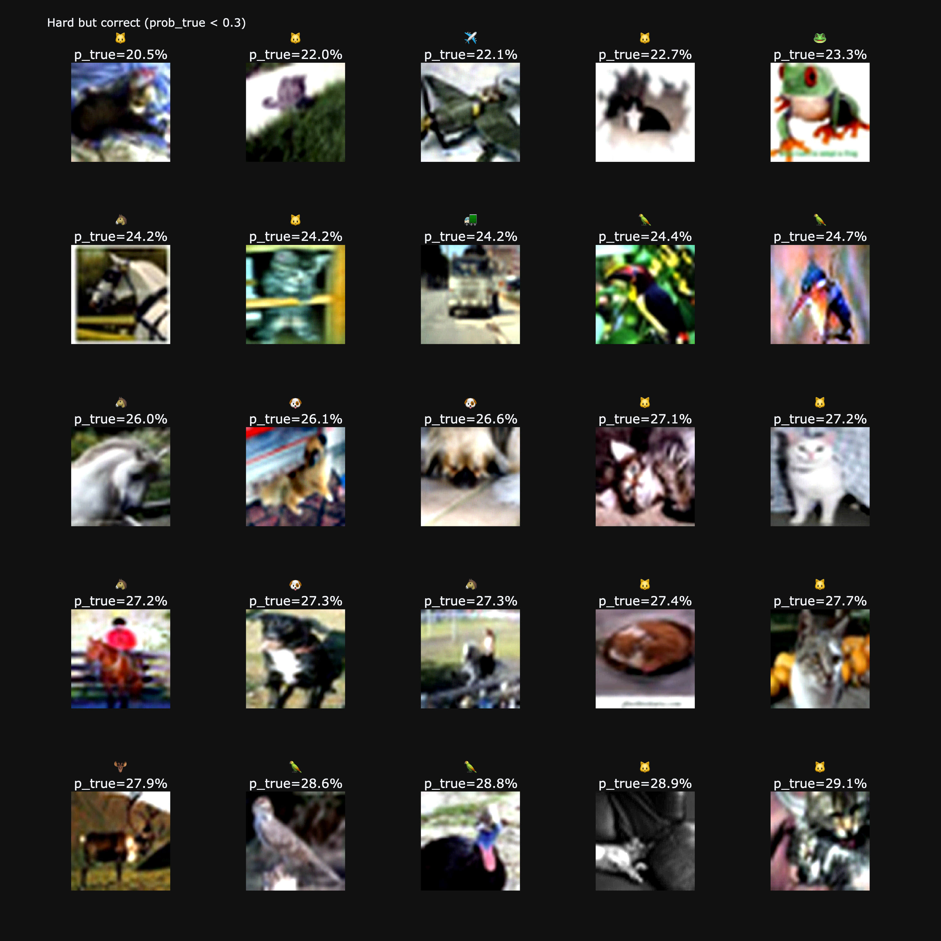 Grid of correctly classified but low-confidence images