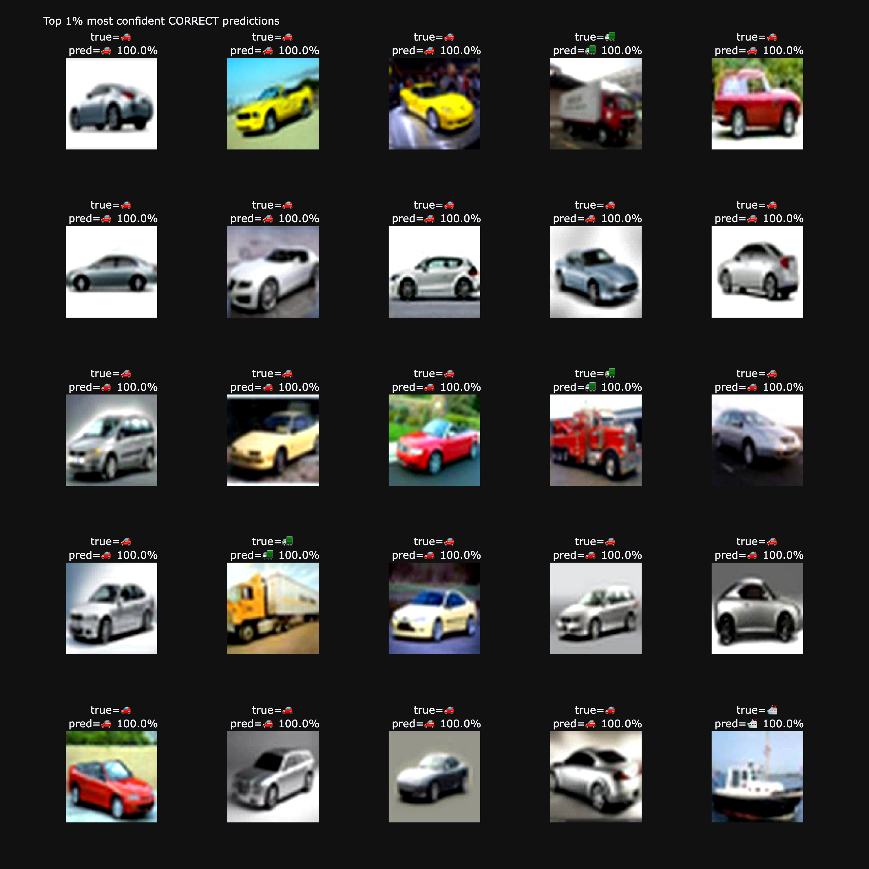 Grid of highly confident correct predictions